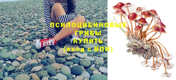 apvp Богородицк