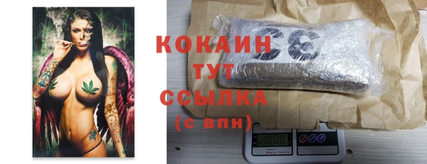 apvp Богородицк