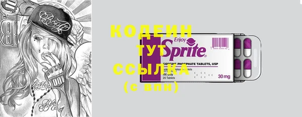 apvp Богородицк