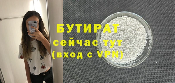 индика Сосновый Бор