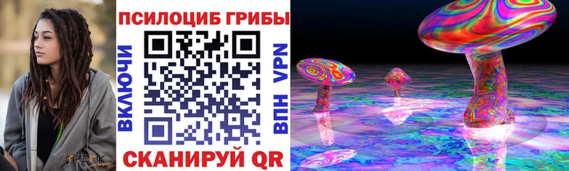 Галлюциногенные грибы Psilocybe Беслан